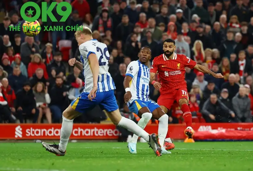 Liverpool được đánh giá cao hơn Brighton Liverpool được đánh giá cao hơn Brighton tại sân nhà Anfield